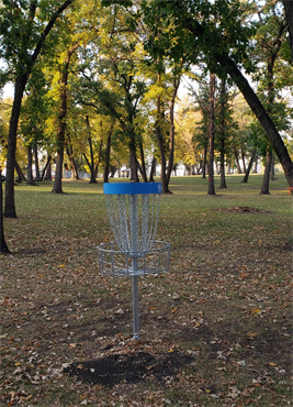 Disc-Golf.png