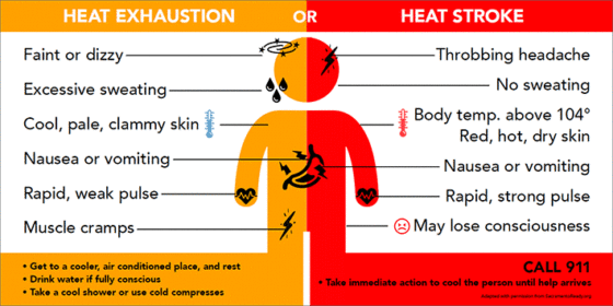 Heat-Exhaustion-Heat-Stroke.gif