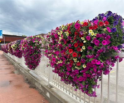 Main Street Bridge